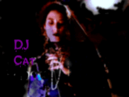 DJCAT2