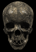 skullchew