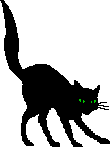 blackcatanitransp