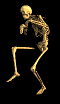 sneakbonesR